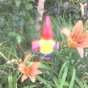 Meet your Posher, Jackie