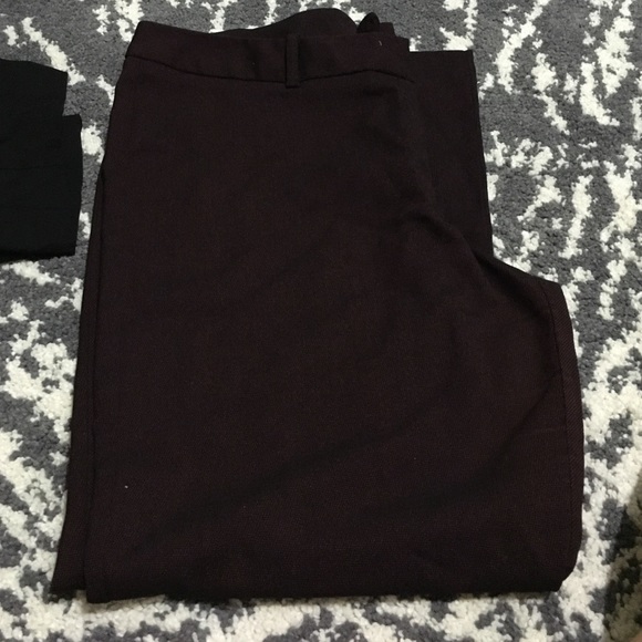 Dress pants