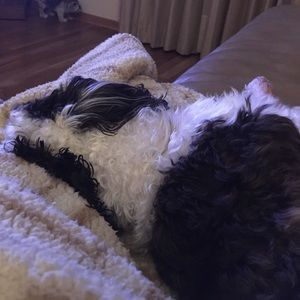 Meet your Posher, Cheryl