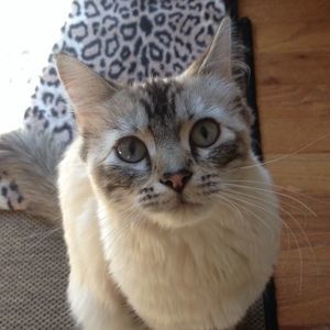 Meet your Posher, Sondra