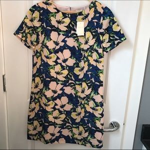 J. Crew Shift Dress