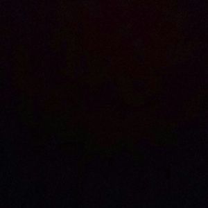 Meet your Posher, Shainah