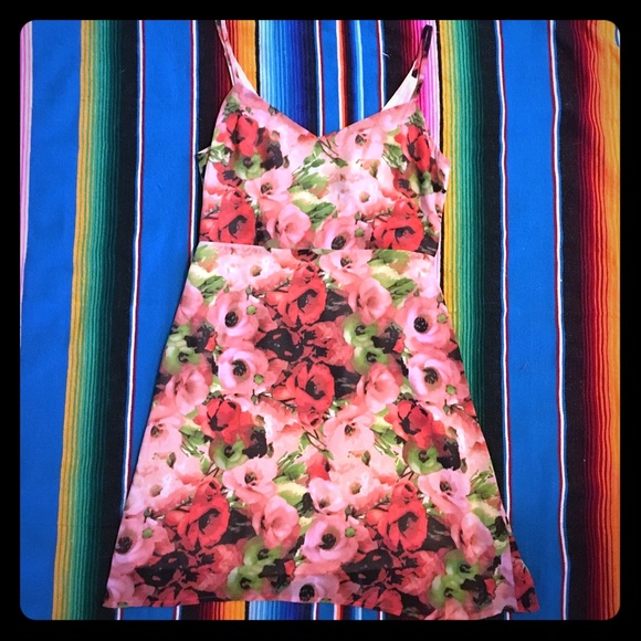 BB Dakota Dress