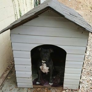 Meet your Posher, Angel