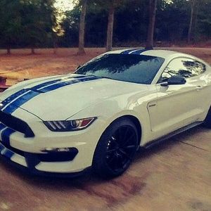 Meet your Posher, Gina