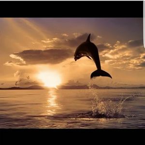 Meet your Posher, Janis