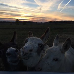 Meet your Posher, April