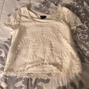 White Lace Sunflower Crop