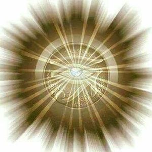 Meet your Posher, Roderick