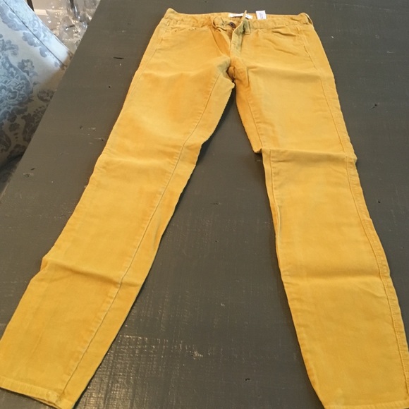 Mustard Cords - Picture 4 of 4