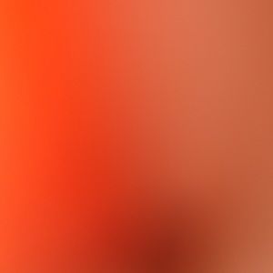 Meet your Posher, Bella