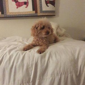 Meet your Posher, Leslie