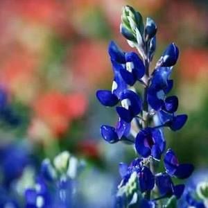 ❤WELCOME TO MY CLOSEST❤