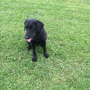 Meet your Posher, Monica