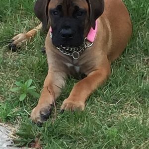 Meet your Posher, David