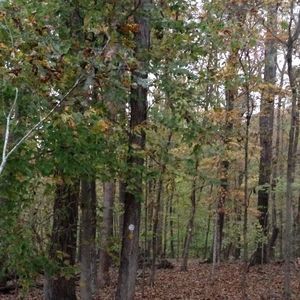 Meet your Posher, Carter