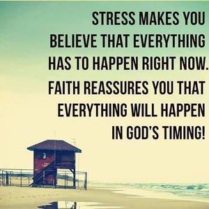 Meet your Posher, Joey