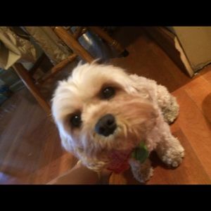 Meet your Posher, Aubrey