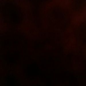 Meet your Posher, Blanca