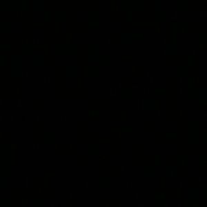 Meet your Posher, Joel