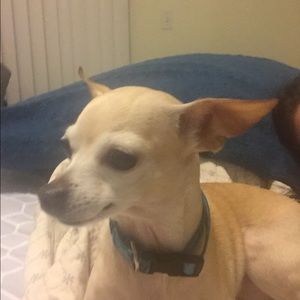 Meet your Posher, Cynthia