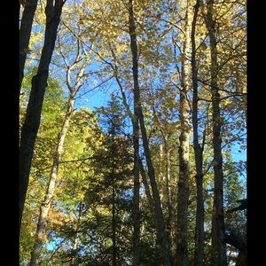 Meet your Posher, Jared