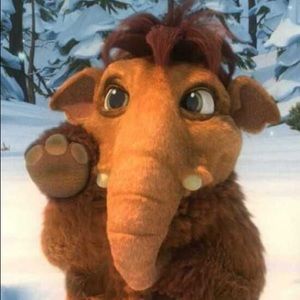 Meet your Posher, Sheena