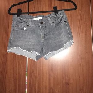 Wolf Grey shorties 🐺😁