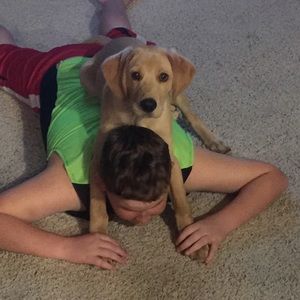 Meet your Posher, Shelly