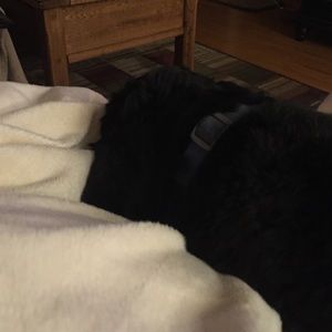 Meet your Posher, Tami