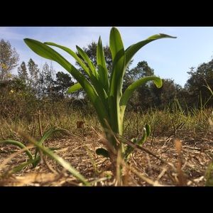 Meet your Posher, Nicholas