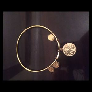 Alex and Ani bracelet