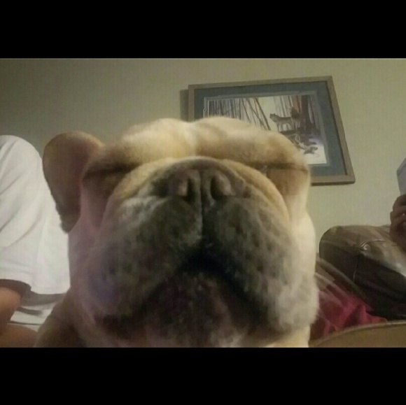 Meet your Posher, Heather - Picture 1 of 1