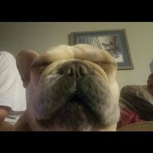 Meet your Posher, Heather