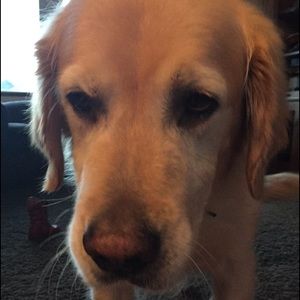 Meet your Posher, Teresa