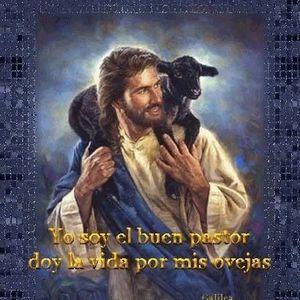 Meet your Posher, Joel