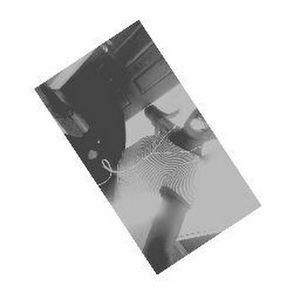 Meet your Posher, Princela