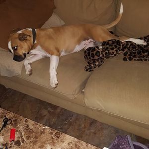 Meet your Posher, Angie