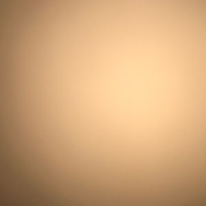 Meet your Posher, Ellie