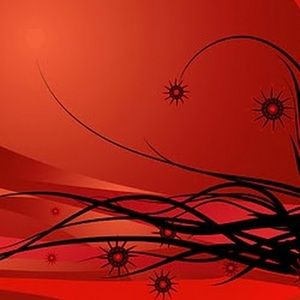 Meet your Posher, Miriam