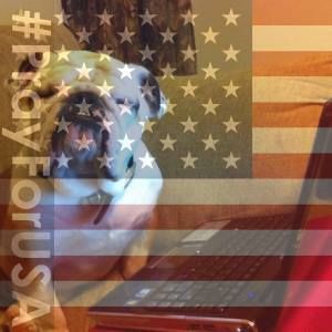 Meet your Posher, Robin