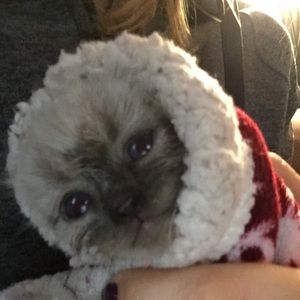 Meet your Posher, Kristina