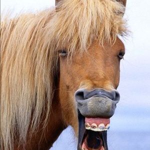 Meet your Posher, Bill