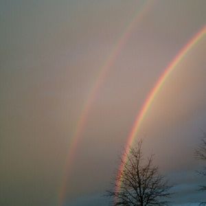 Meet your Posher, Roberta