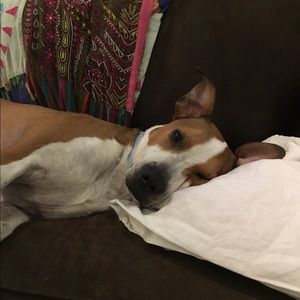 Meet your Posher, Genevieve