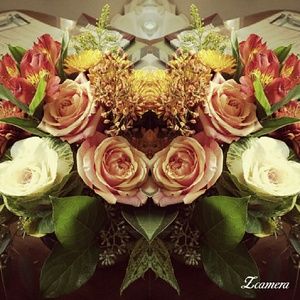 Meet your Posher, Lori