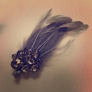 Banana Republic feathered clip