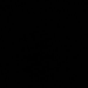 Meet your Posher, Angelina