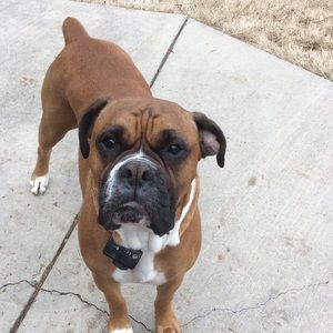 Meet your Posher, Heather