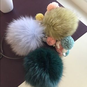 Meet your Posher, Meena